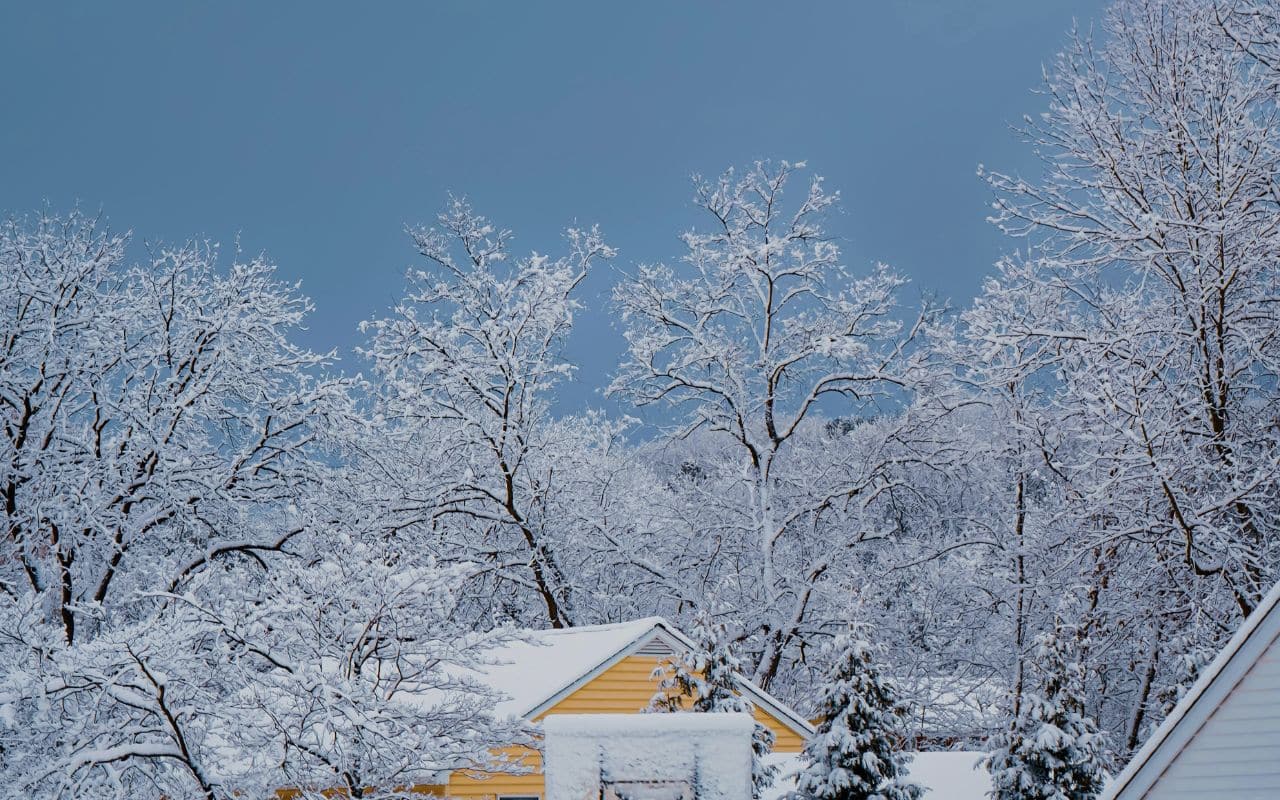 Snow-covered trees and rooftops under a grey winter sky. winter tree removal buffalo